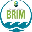 Oneupweb Hosts 3rd BRIM Thought Leadership Conference for Michigan...