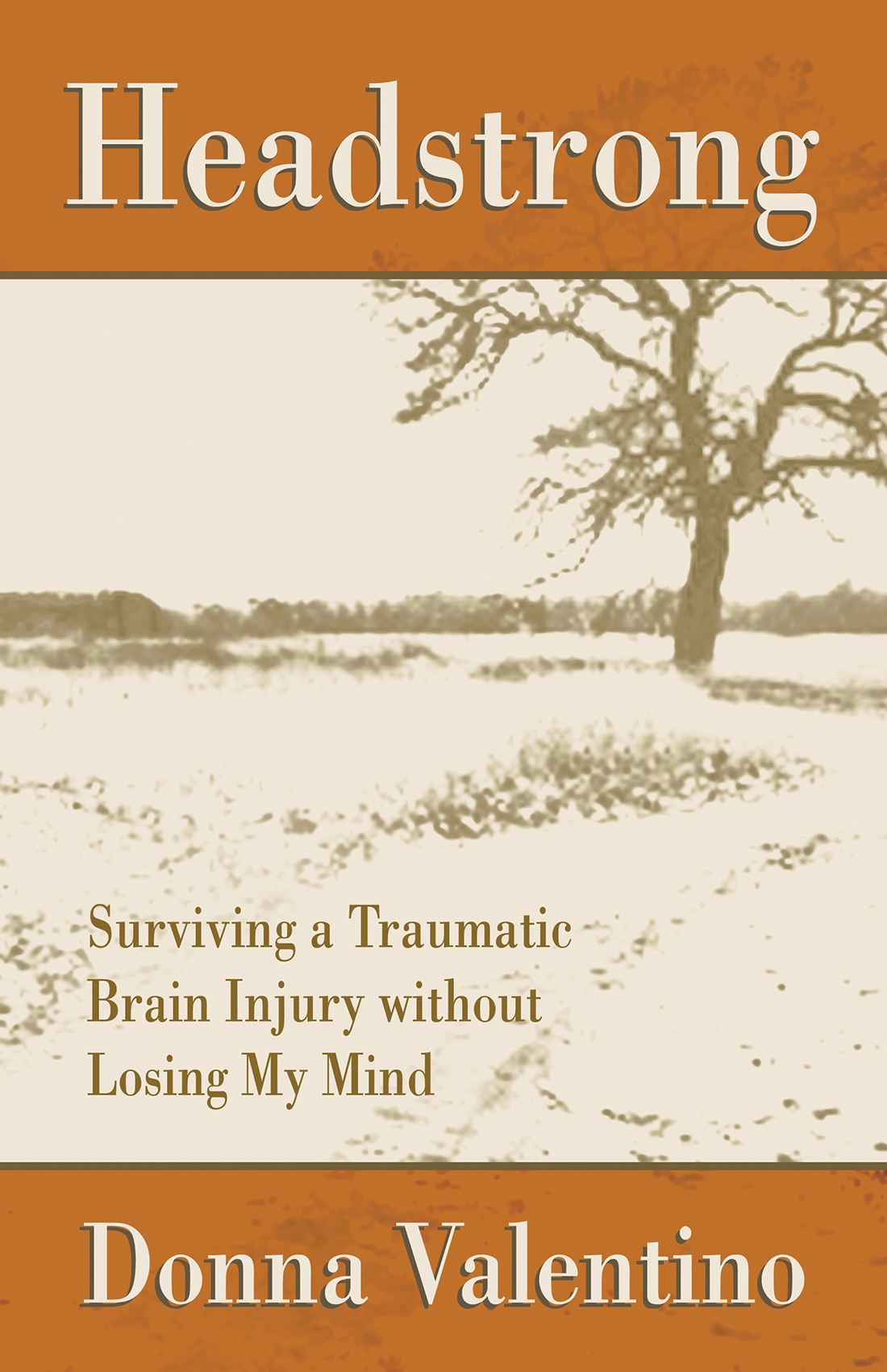 New Book "HEADSTRONG Surviving a Traumatic Brain Injury Without Losing My Mind" by Donna