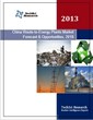 China’s Waste-to-Energy Plants Market Expected to Grow at 18% CAGR by...