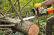 Tree Trimmers Insurance Now Offers General Liability Insurance for All...