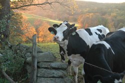 fall farm tours