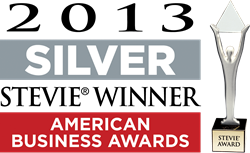 American Business Awards 2013