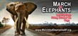 Oakland Zoo Supports San Francisco March for Elephants