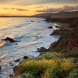 The Season is Changing: Fall in Love With Cambria, CA