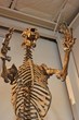 Fossil Discovery Center Plans Host of Activities for National Fossil...