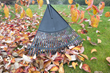 Senske Services Releases Tips for Sprucing up Lawns and Yards, and...
