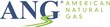 Compressed Natural Gas Fueling Station by American Natural Gas LLC...