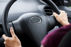 car theft insurance