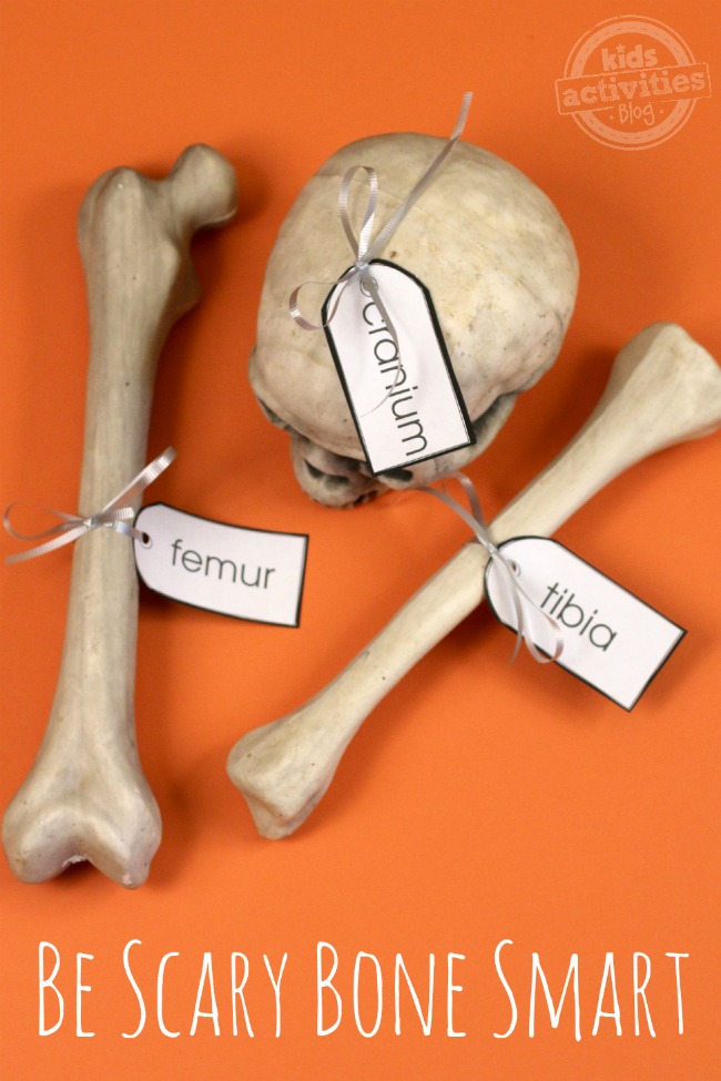 Fun Skeleton Bone Activities Have Been Released On Kids Activities Blog