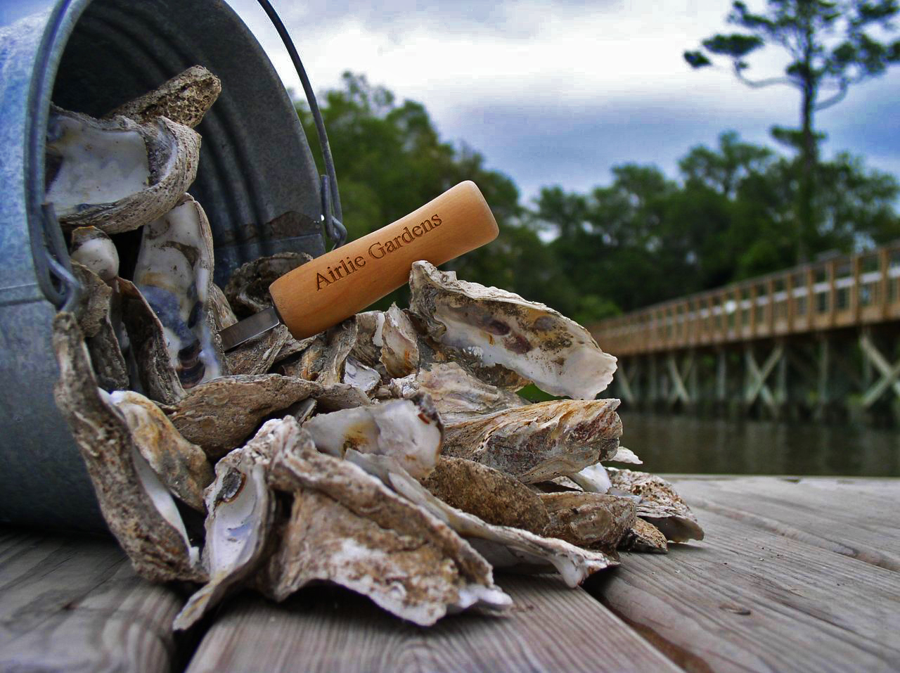 Oyster Harvest Coastal Tradition at Airlie Gardens Denotes Fall's
