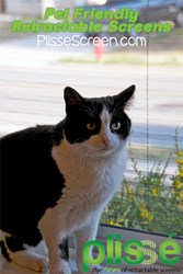 Pet Friendly Retractable Screens