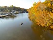 Fall Festival and Vibrant Foliage Draw Thousands to Prince William...