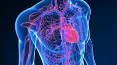 Pradaxa: serious adverse events