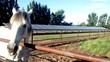 Ambassador Energy Presents ‘Solar for Ranches’ – the Next in their...