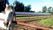 Ambassador Solar Presents The First Webinar of a Series Entitled...