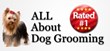 Start a Dog Grooming Business with Learn to Groom
