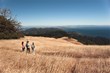 TrekInnMarin Adds Guided Day Hikes to Lineup
