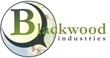 Customers Website Designed by Blackwood Industries Selected as Emmy...