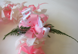 Breast Cancer Research Lei