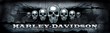 Harley Davidson Rear Window Graphics Soon to be Discontinued | News at...