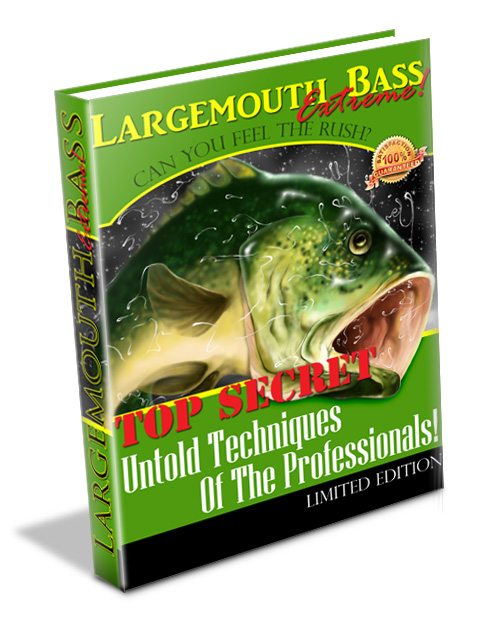 catch largemouth bass fishing planet