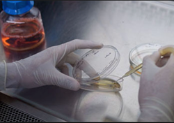 regenerative medicine,regenerative medicine products,kits,stem cell therapies,