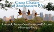 Geese Chasers Arrvives in Southeastern PA