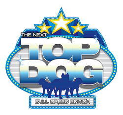 The Next Top Dog Video Contest