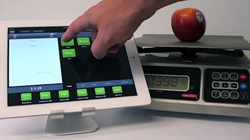 Lavu iPad POS portion control scale