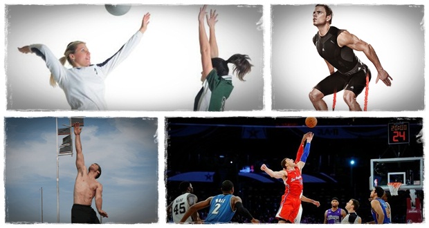 best vertical jump program reviews