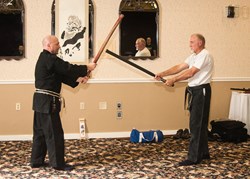 Bujinkan Taka Seigi Japanese Yagyu Shinkage Ryu Sword Training Video