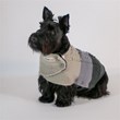 Calling all “Chilly Dogs!” Beat the Brutal Winter Weather with...