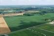 Multi-Parcel Auction Scheduled to Sell Virginia Timber, Farm Land