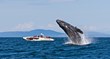Eagle Wing Tours Leads the Way for Responsible Eco-Tourism