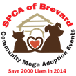 Animal Shelters Create Coalition With the Goal of Saving 2000 Cats and...