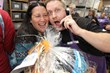 Cascade Yarn Tasting at Paradise Fibers - Knitting Extravaganza