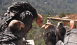 Oakland Zoo’s Conservation Speaker Series Presents “Saving the...