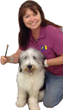 K9 Dog Park Launches “Magic Wand” Residential Training Program