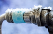 Senske Services Releases Its List of Top 5 Questions to Ask Before...