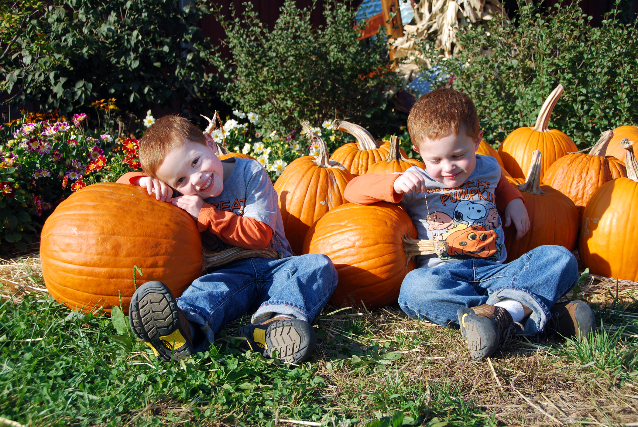 Warren County CVB Announces Bonnybrook Farms Pumpkin Chuckin' Festival