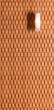 Smith & Fong Introduces New Line of Carved and Textured...