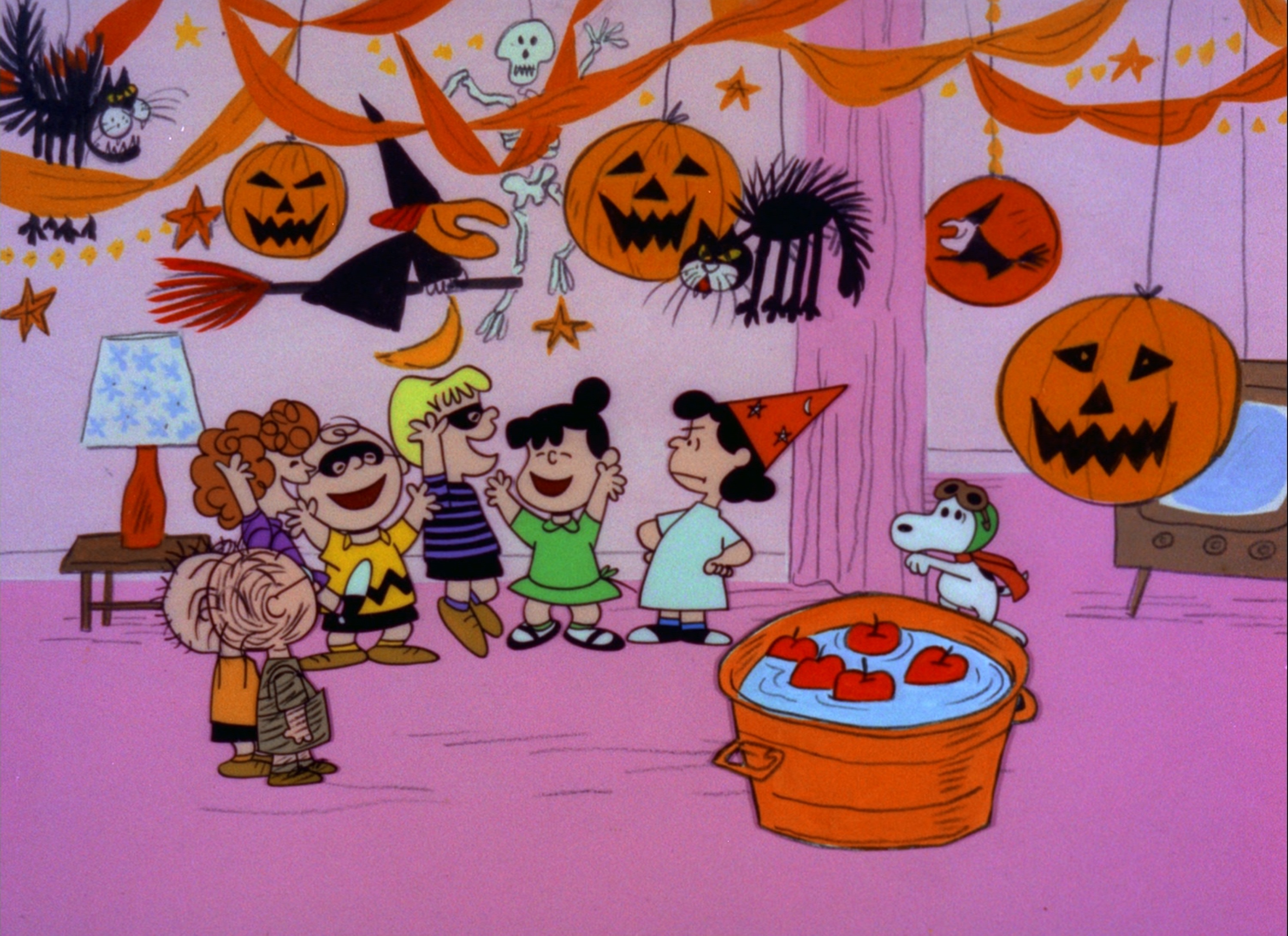 Charlie Brown Pumpkin Patch Tv Guide
