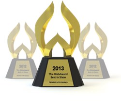 Trighton Wins 2013 WebAward
