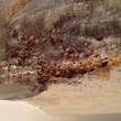 Bed Bugs Show Up in Five Norfolk Fire Houses, My Cleaning Products...