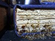 Bed Bugs Seal Third Floor of University of Utah Library, My Cleaning...