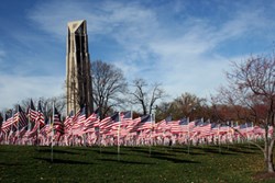 Cheers for Our Veterans