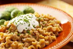 efoods beef stroganoff