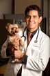 Some Homemade Dog Food Recipes Now have Scientific Approval