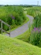 Phytomer Is Given ISPA Innovate Award for Use of Filtration Garden for...