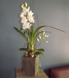 Permanent Botanicals